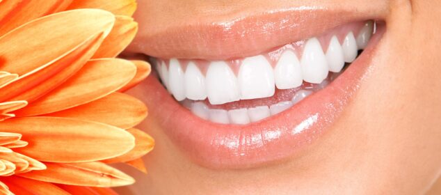 Nombres para dragones según culturas