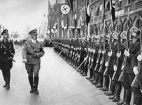 Nombre para conejos según características, y comportamiento