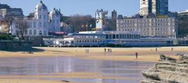 Nombres para gatos rubios que son populares