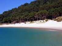 Nombres para niños géminis con su significado