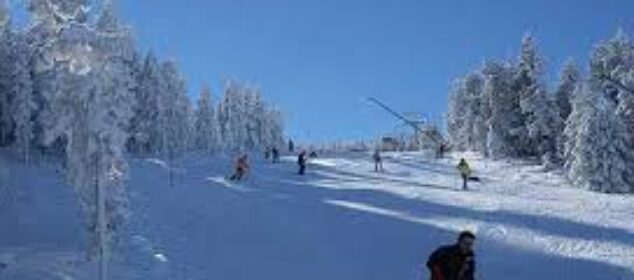 Nombres unisex para conejos lista extensa para elegir