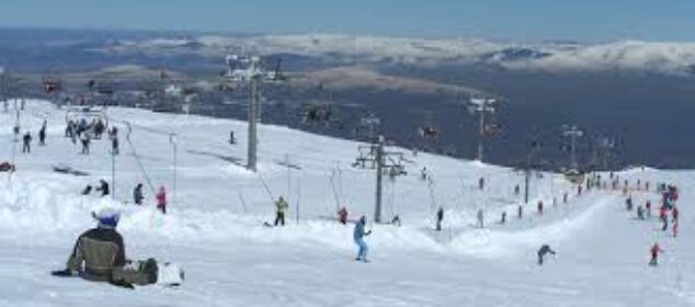 Nombres para perros de peluche ejemplos de todo tipo