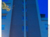 Nombres para perros raza french poodle comunes