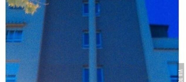 Nombres para perros raza french poodle comunes