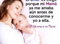 Nombres para tortugas de agua populares y recomendados