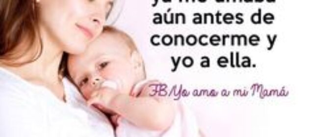 Nombres para tortugas de agua populares y recomendados