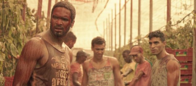 Nombres de razas de perros grandes y sus características