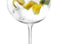 Los mejores gin tonic Los mejores gin tonic
