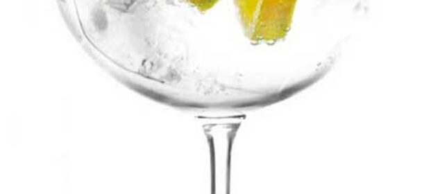 Los mejores gin tonic