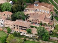 Nombre de gatos hembra populares y creativos