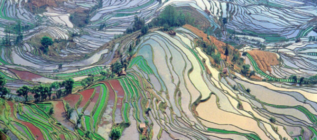 Tipos de tatuajes que existen y cuales son los mas populares