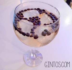 receta-gintonic-cafe-whitley-neill