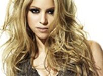 Clases de cobayas recomendadas como mascotas