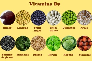Alimentos-ricos-en-Vitamina-B9