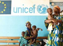 Ejemplos de ONG y sus funciones