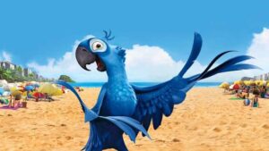 Nombre de loros de películas