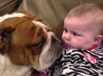 Nombres de niños en ingles y español