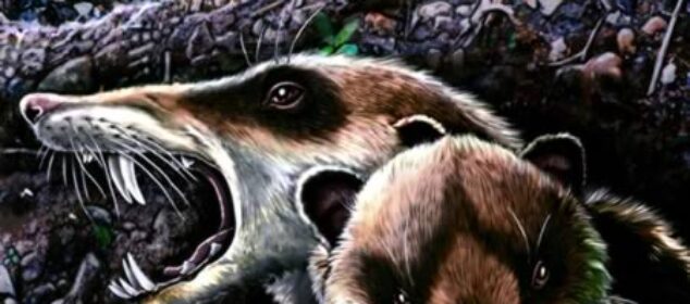 Los mejores fósiles del mundo Los mejores fósiles del mundo