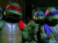 Nombres para tortugas de agua populares y recomendados