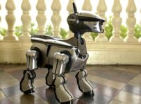 Los mejores productos Sony Los mejores productos Sony